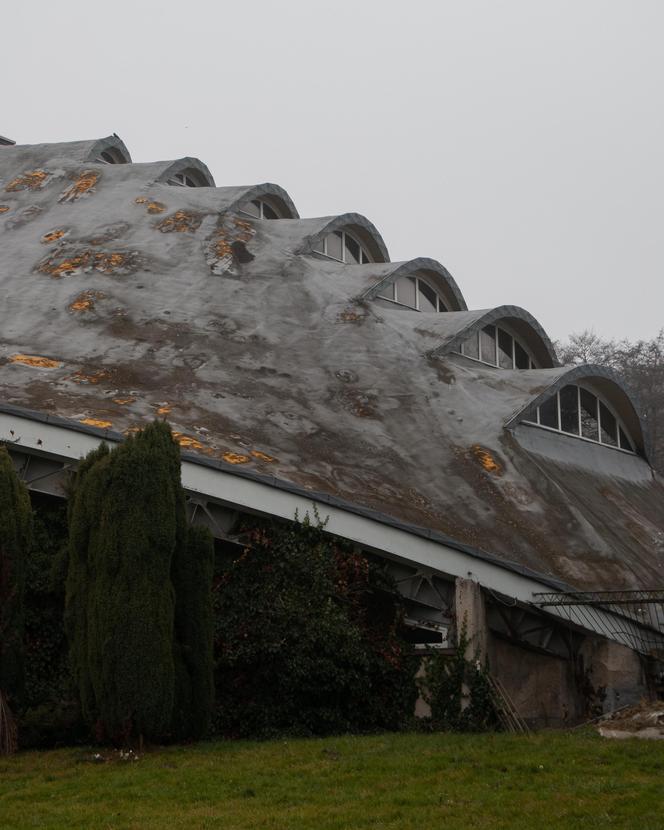 Socmodernistyczny Park Śląski - zdjęcia mozaik, architektury, rzeźb PRL