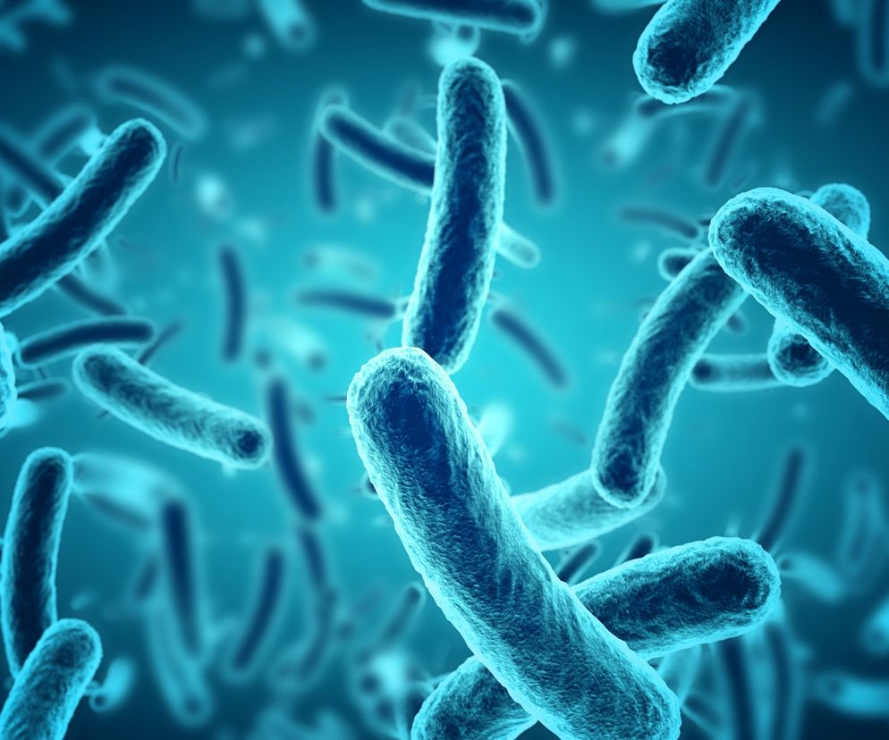 Jak uniknąć zakażenia BAKTERIĄ E.COLI