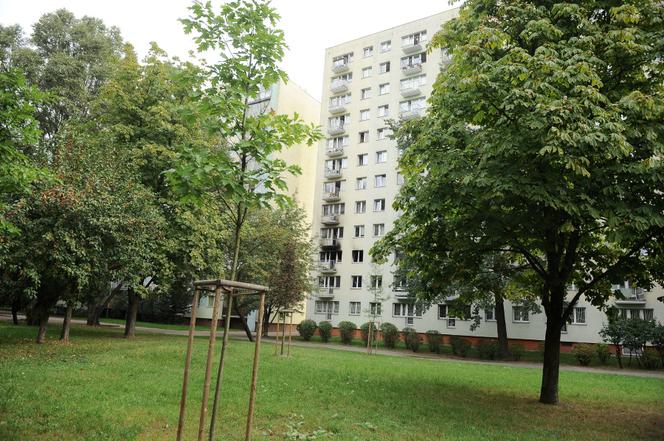 Pożar w bloku na Stegnach 