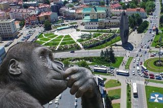 QUIZ. Poniedziałkowy test z wiedzy ogólnej. Lojalnie uprzedzamy: jest MASAKRYCZNIE trudny! Bijemy brawo za połowę punktów!