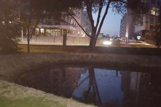 Odmulono staw w parku na osiedlu Słocina