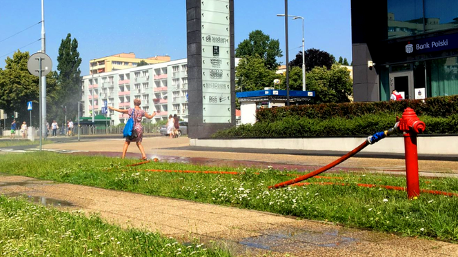 Kurtyny wodne w Szczecinie