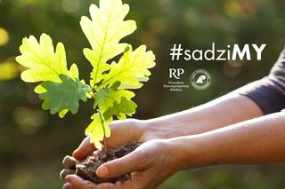 Nadleśnictwo Polanów dołączyło do ogólnopolskiej akcji Lasów Państwowych #sadziMY