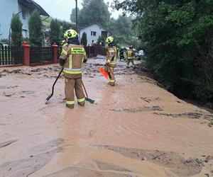 Zalane posesje na Podkarpaciu. Strażacy interweniują od wczesnych godzin 