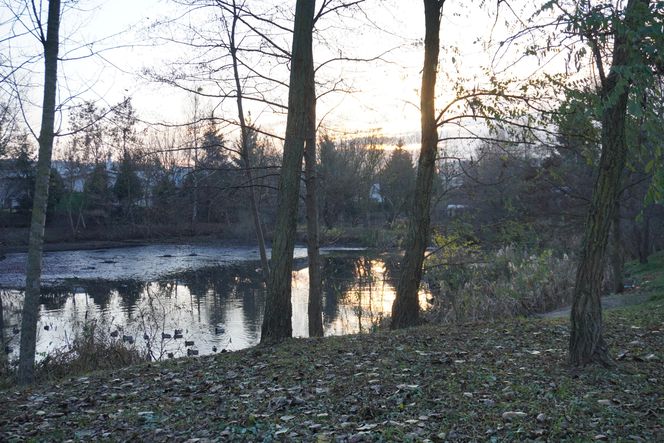 Tu powstanie kolejne miejske do rekreacji w Białymstoku. Tak obecnie wygląda staw przy Bema