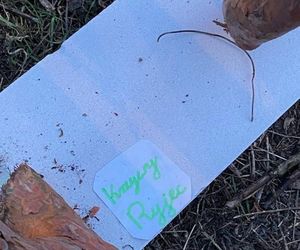 Muzeum Patyka w Toruniu