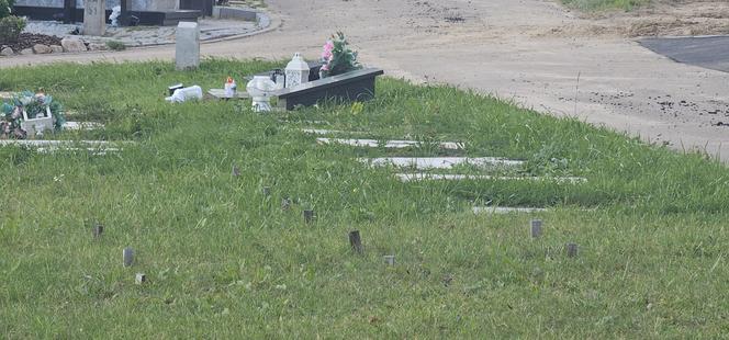 Tak wygląda „amerykański” cmentarz w Dywitach. Ile kosztuje miejsce?