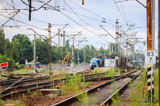 Brak maszynistów na Podkarpaciu. Zawieszono kursowanie pociągów na 7 liniach! 