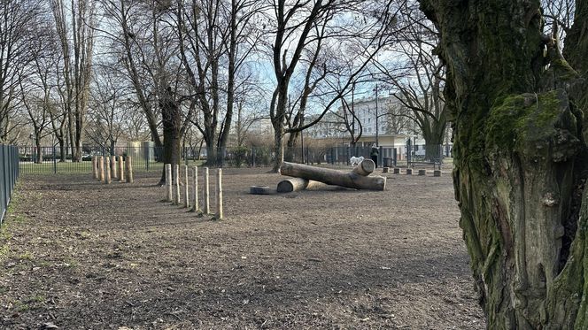 Psi park w Parku Staromiejskim w Łodzi