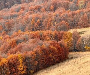 Jesienne Bieszczady