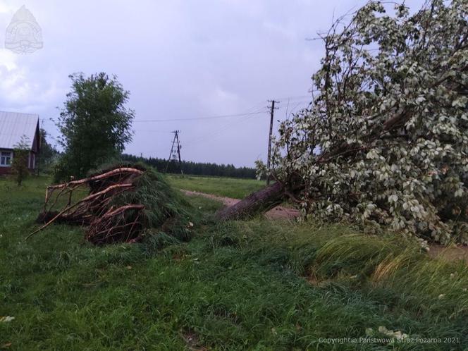Burze i wichury w Podlaskiem. Tysiące ludzi zostało bez prądu! [ZDJĘCIA]