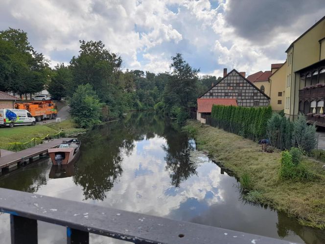 Zamek w Lidzbarku Warmińskim