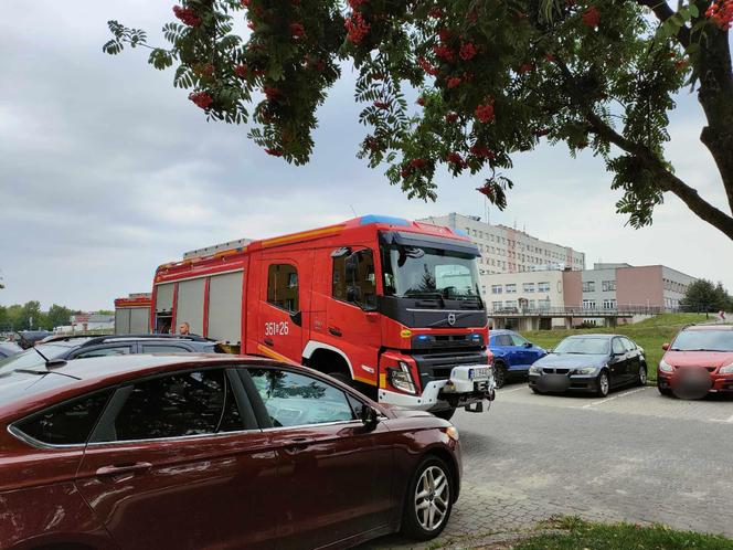 Paliło się w jednym z bloków przy ul. Kazańskiej w Łomży! Strażacy ewakuowali dwa małe psy. ZDJĘCIA