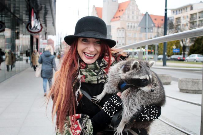 Przygarnęłam szopa