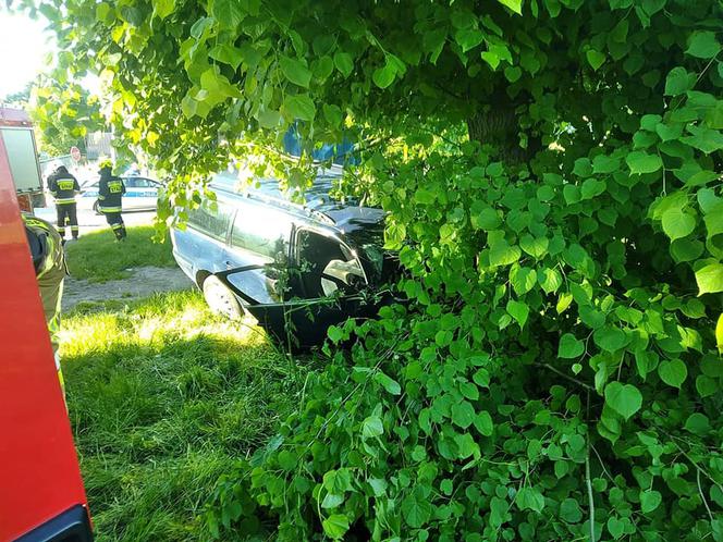 30-latek zginął pod Gostyninem! Jego volkswagen rozbił się o drzewo [ZDJĘCIA]
