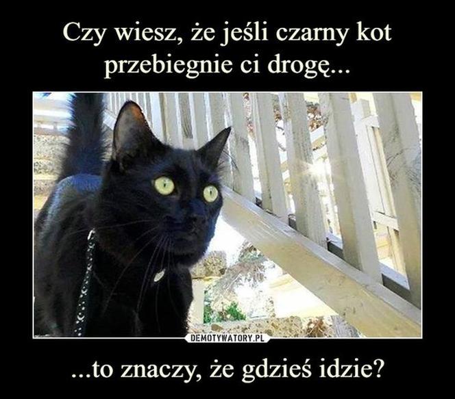 Memy na piątek 13-go