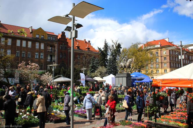 Targi Miasto-Ogród w Szczecinie