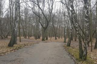 Modernizacja Parku Zielona w Dąbrowie Górniczej