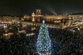 Najpiękniejsza choinka na świecie znajduje się w Polsce! Gdzie ją zobaczyć? 