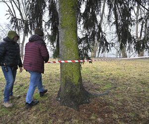 Wielka akcja policji w Nowym Dworze Mazowieckim. Znaleziono ludzkie szczątki