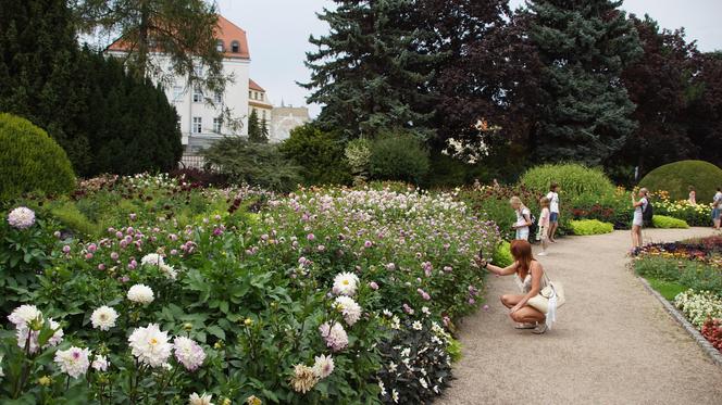 To jeden z najpiękniejszych ogrodów botanicznych w Polsce. Znajduje się na Dolnym Śląsku 