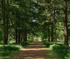 Sanatorium Bajka w Horyńcu-Zdroju