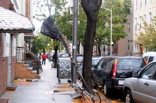 Greenpoint przetrwał huragan Sandy