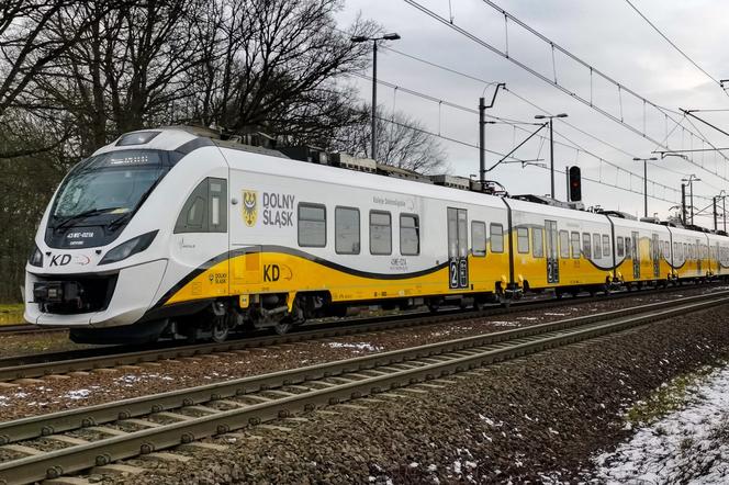 Koleje Dolnośląskie wznowią kursowanie pociągów transgranicznych