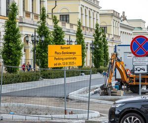 Sadzenie zieleni na placu Bankowym w maju 2025 r.