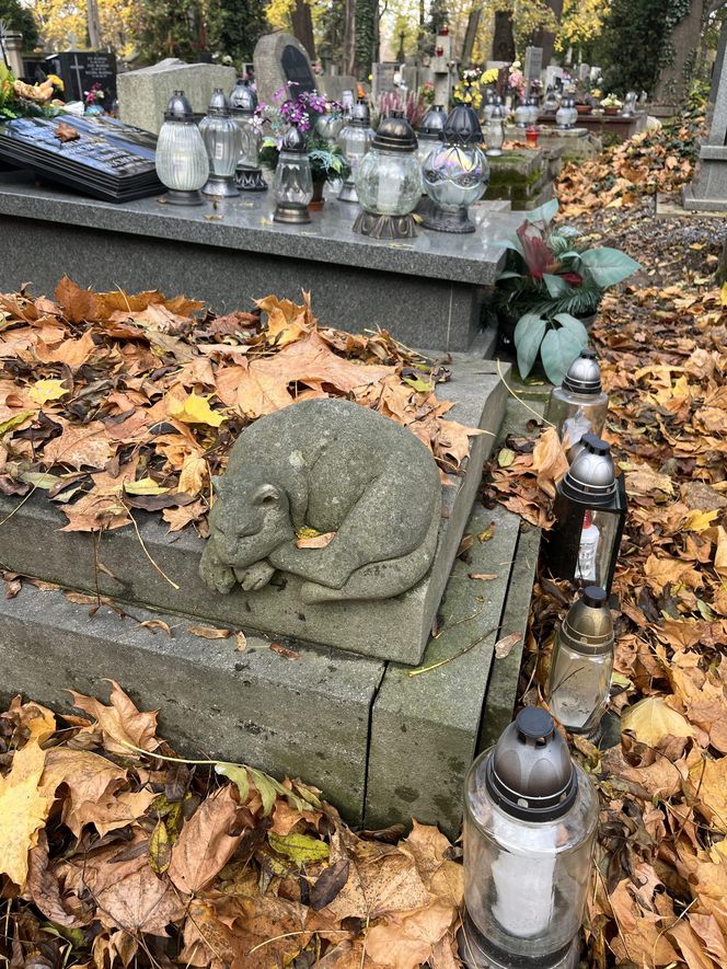 Groby architektów na krakowskich cmentarzach