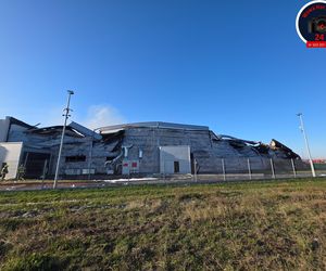 Pożar hali w Natolinie