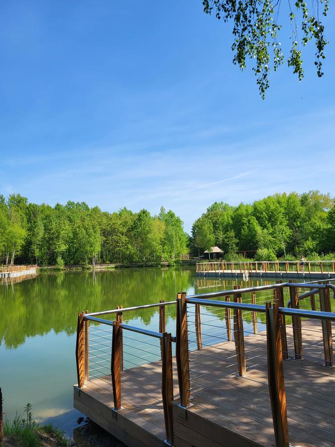 Kraków - Park Tetmajera