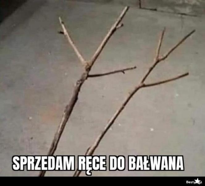 Memy o zimie roztapiają smutki. Te śnieżne obrazki rozbawią cię do łez [TOP 75]