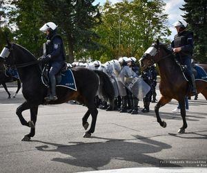 Policyjne konie zdały egzamin!