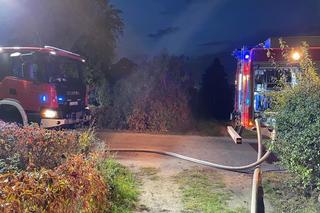 Pożar domku letniskowego na działkach ROD w Toruniu