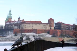 Zima pod Wawelem