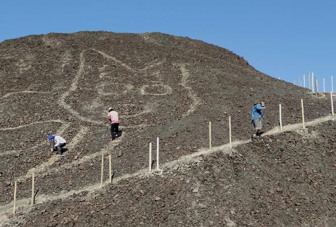 Niezwykłe odkrycie! Gigantyczny rysunek kota na płaskowyżu Nazca w Peru [ZDJĘCIA]