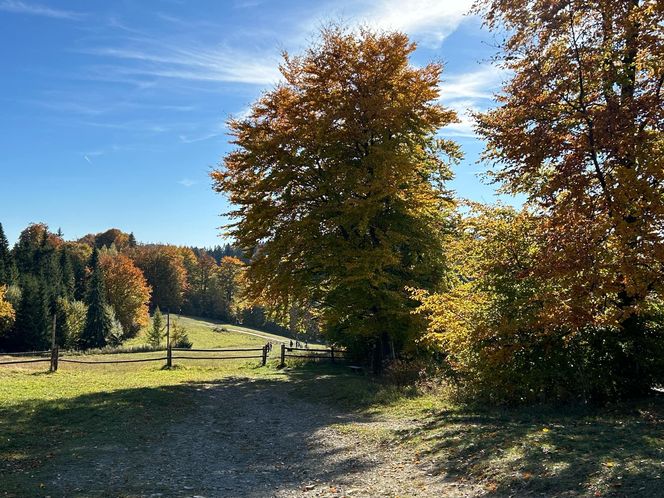 Małopolskie pasmo górskie zachwyca jesiennym pięknem. Ukryta perełka z widokiem na tatry 