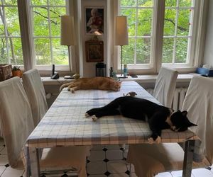 Dom Krystyny Jandy w Milanówku