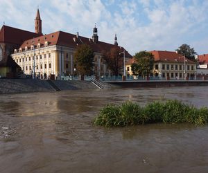 Wrocław. Fala w centrum miasta.