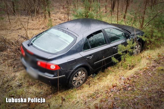 Samochód wpadł do rowu w Sulechowie