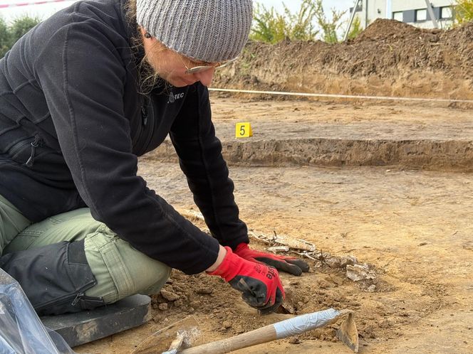 Archeologiczna sensacja pod Krakowem. Odkryto neolityczną osadę i wczesnośredniowieczne cmentarzysko