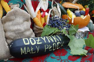 Dożynki Wojewódzkie w Małym Płocku 2025