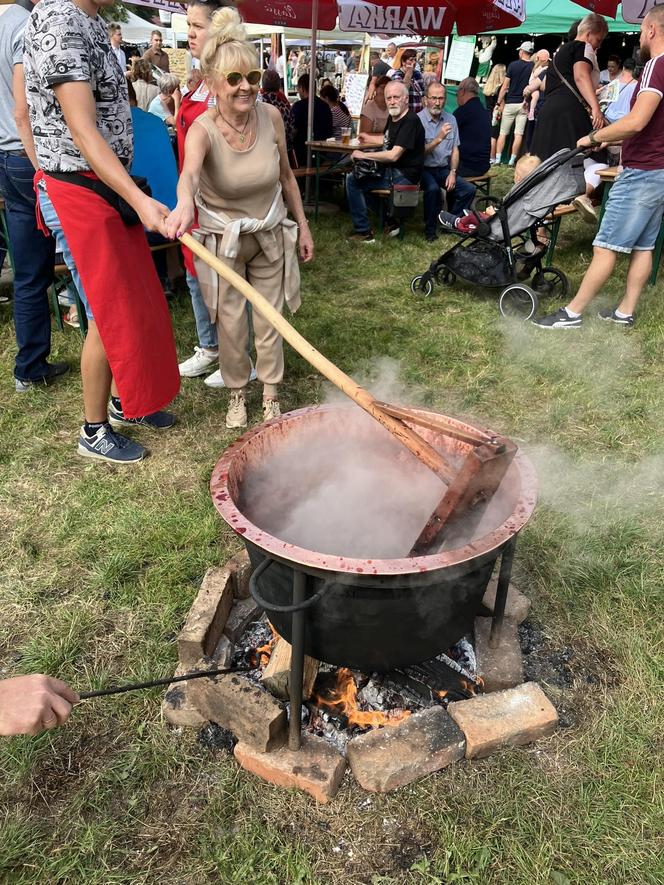 Festiwal Wisły