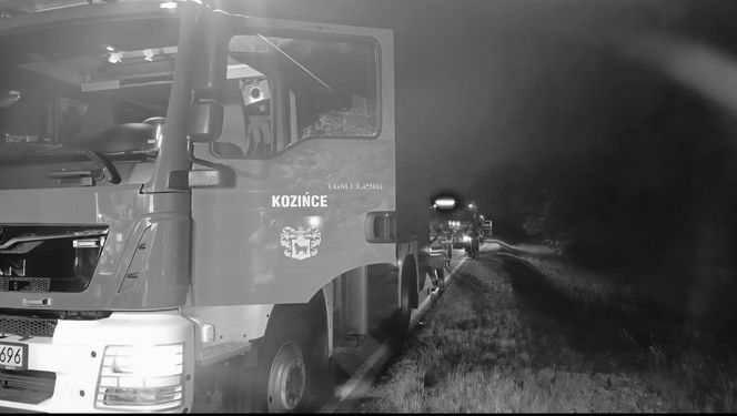 Kierowca seata nie żyje. Auto roztrzaskało się na drzewie. Tragiczny wypadek na DK 65