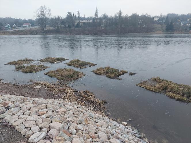 Przebudowa grobli na starachowickim Pasterniku