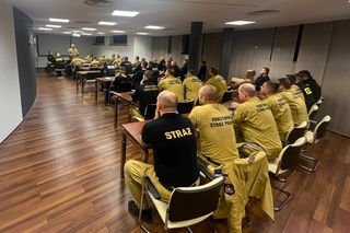 Strażacy z Podkarpacia na międzynarodowych ćwiczeniach „EU MODEX Austria 2024