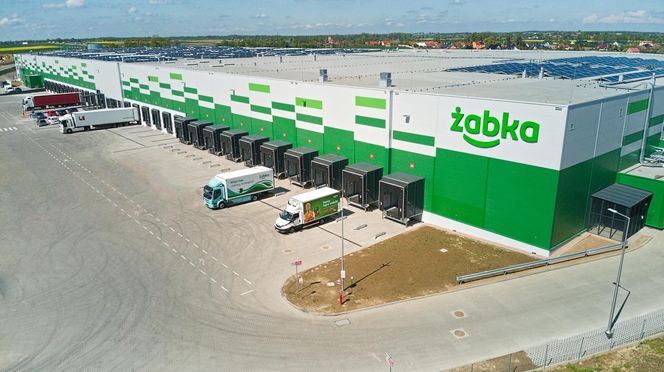 Żabka