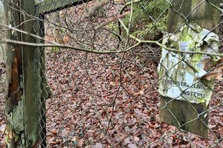 Ranna kobieta w lesie. Kula trafiła 53-latkę w głowę. W pobliżu ćwiczyli policjanci