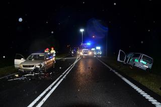 Karambol koło Borku po zderzeniu z jeleniem. Kilka osób poszkodowanych [ZDJĘCIA]